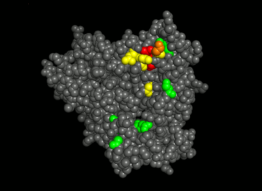 SLAPNAP gp120 logo SLAPNAP gp120 logo